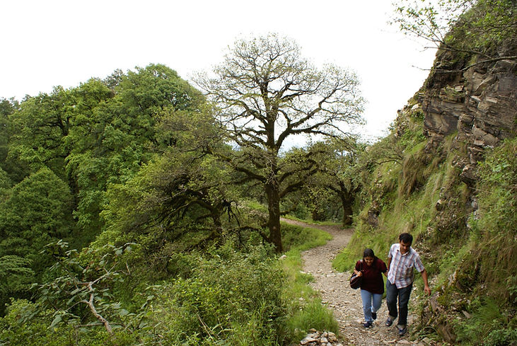 Trek Curve China Peak Nainital