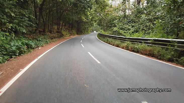 Way to Butterfly Beach on Bikes