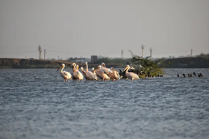 Airport Lake Sunset point Bhavnagar